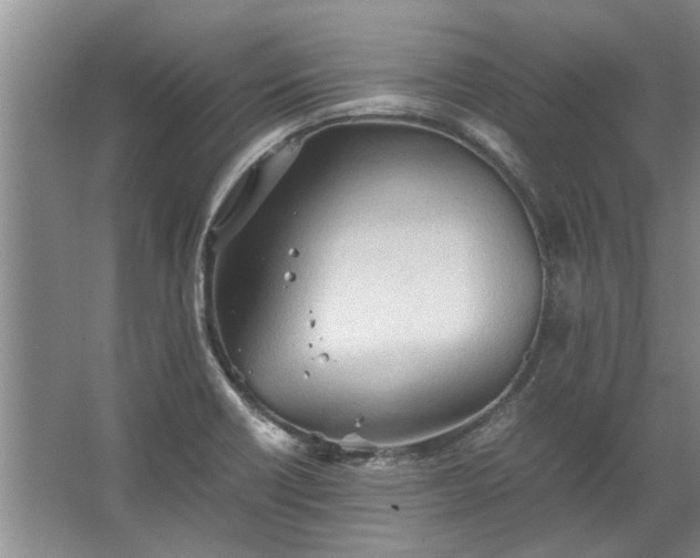 X0000067521418200604150148