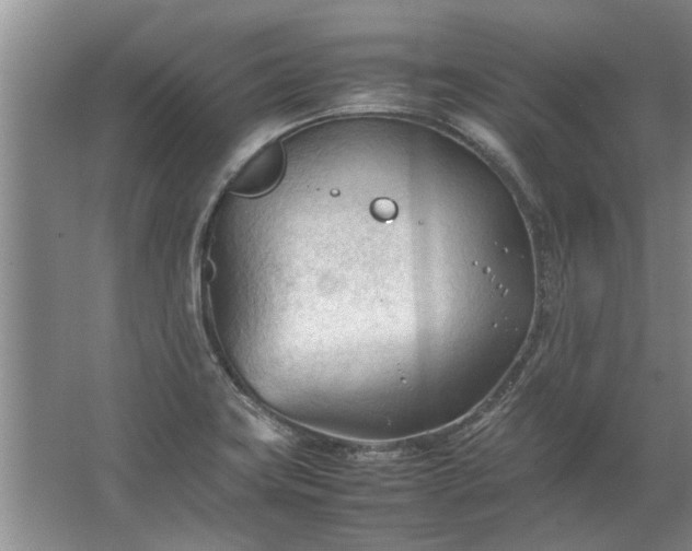 X0000067521419200604150148