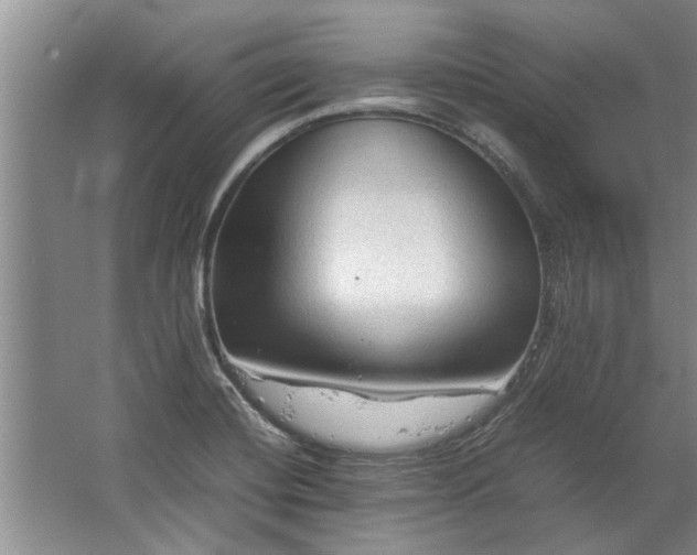 X0000067521420200604150148