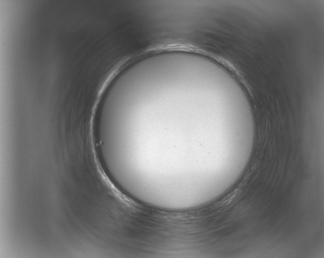 X0000067521422200604150148