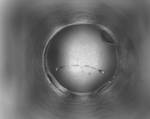 X0000067521423200604150148