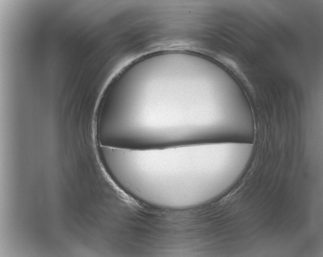 X0000067521424200604150148