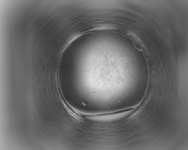 X0000067521425200604150148