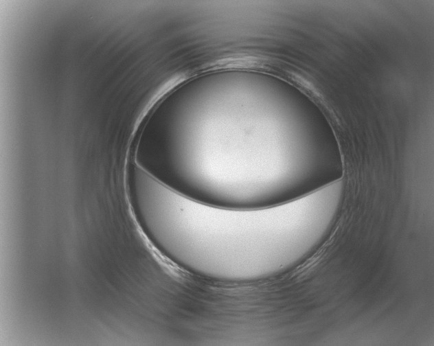 X0000067521426200604150148