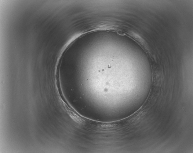 X0000067521427200604150148