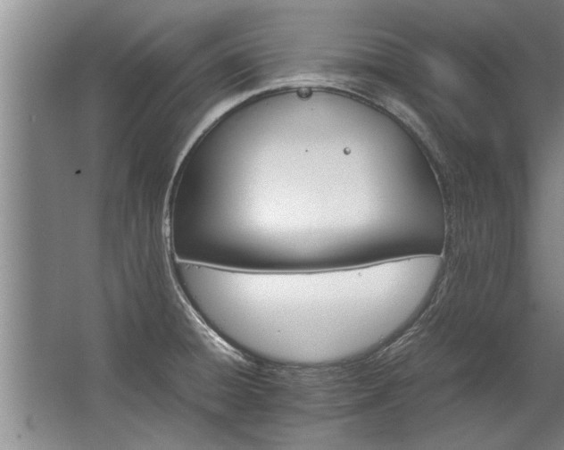 X0000067521428200604150148