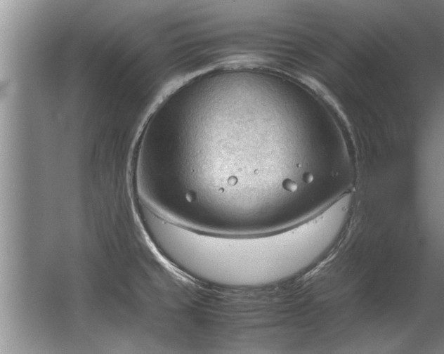 X0000067521429200604150148