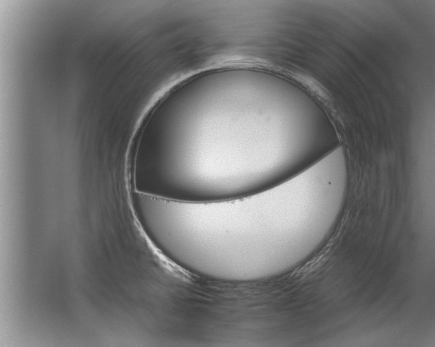 X0000067521430200604150148