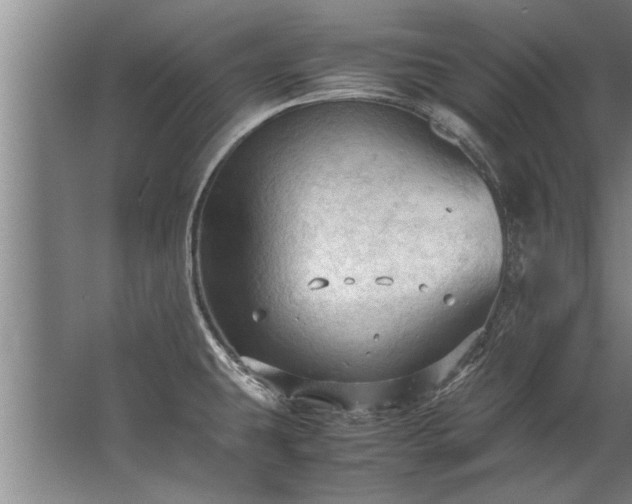 X0000067521431200604150148