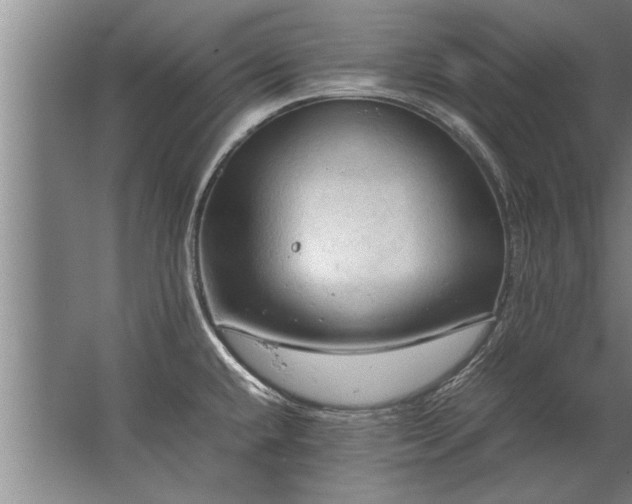 X0000067521432200604150148