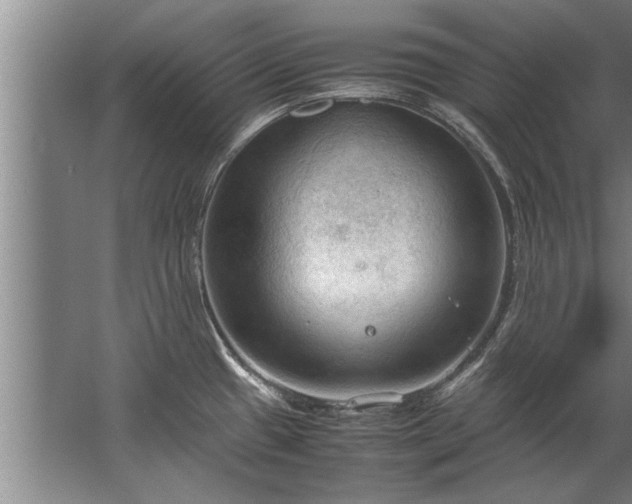 X0000067521433200604150148