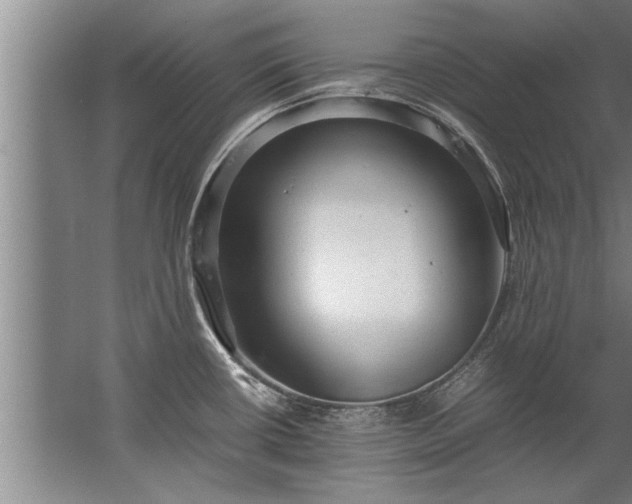 X0000067521434200604150148