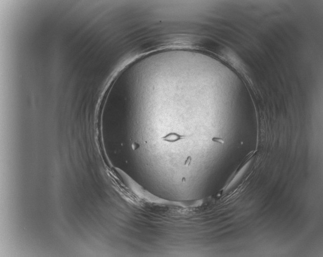 X0000067521435200604150148