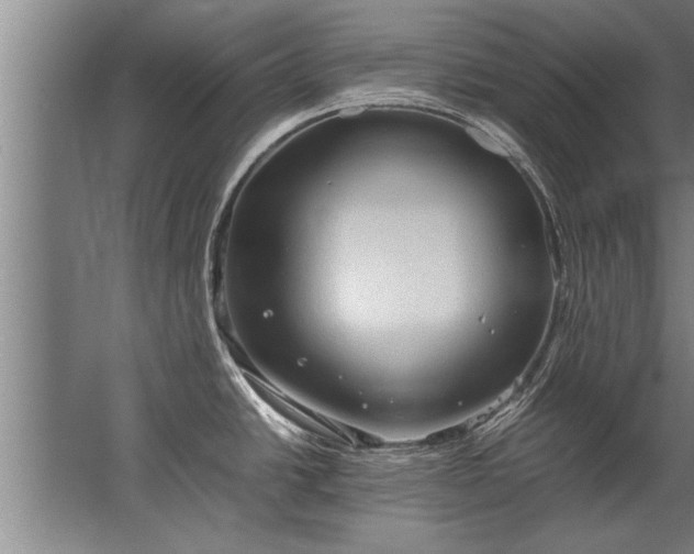 X0000067521438200604150148