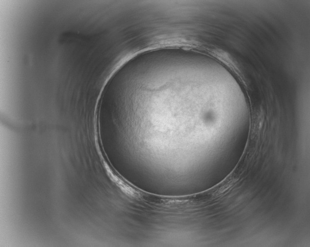 X0000067521439200604150148