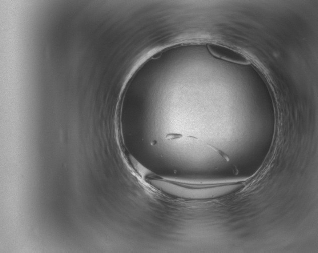 X0000067521440200604150148