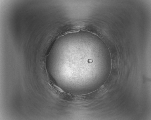 X0000067521441200604150148