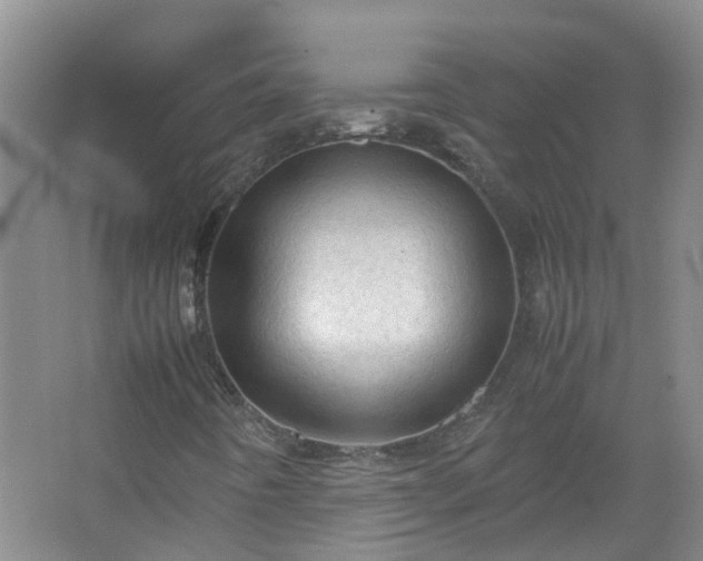 X0000067521442200604150148