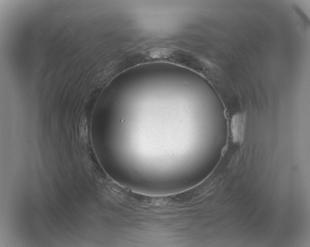 X0000067521443200604150147