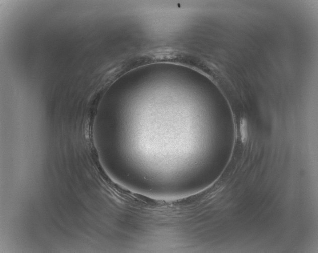 X0000067521444200604150147