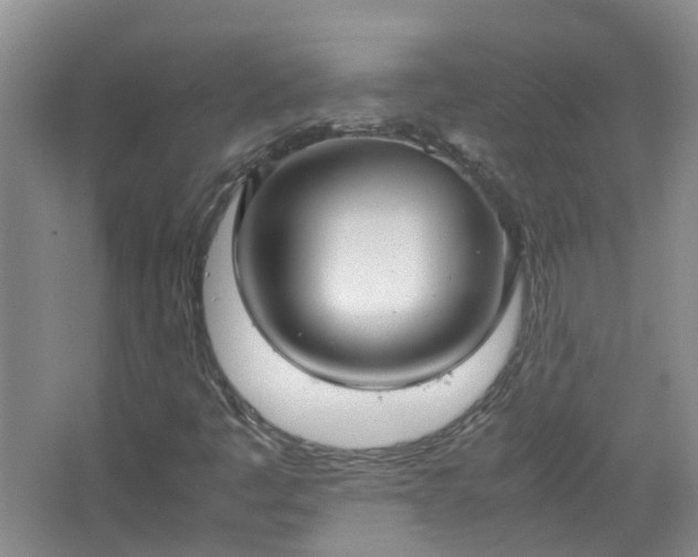 X0000067521445200604150147