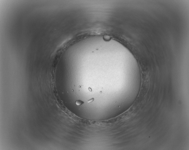 X0000067521446200604150147