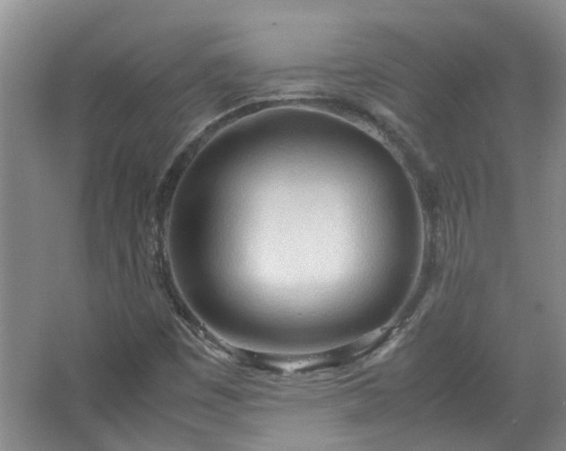 X0000067521449200604150147