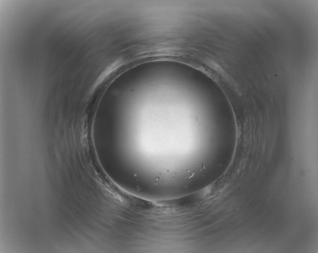 X0000067521450200604150147