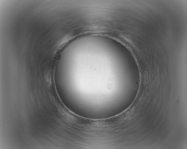 X0000067521451200604150147