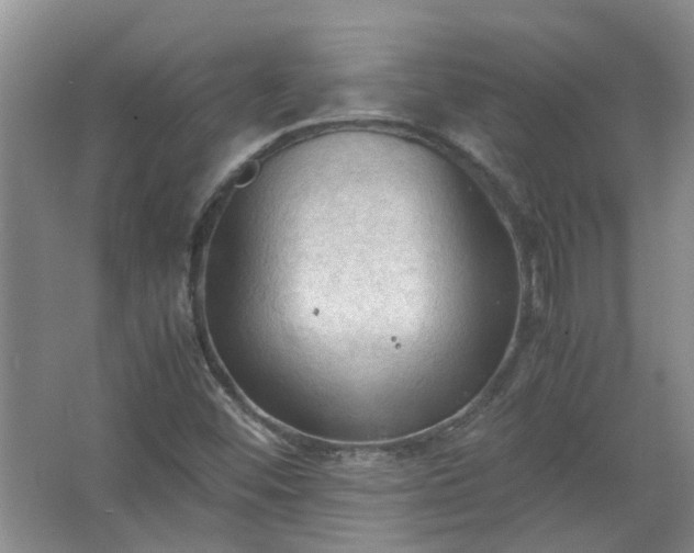 X0000067521452200604150147