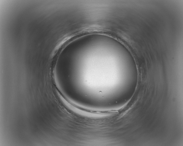 X0000067521453200604150147