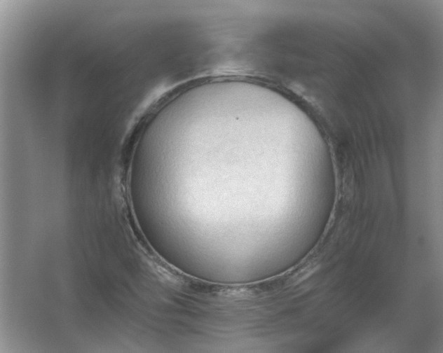 X0000067521454200604150147