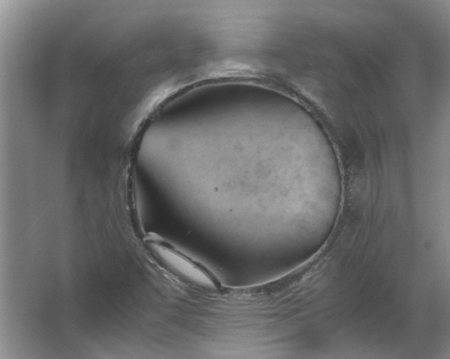 X0000067521455200604150147