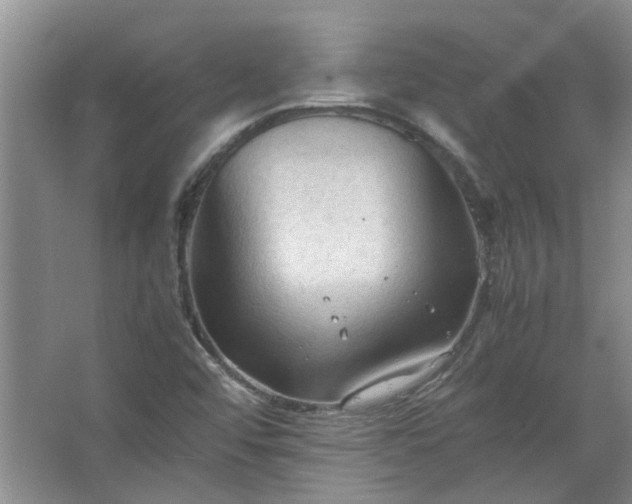 X0000067521456200604150147