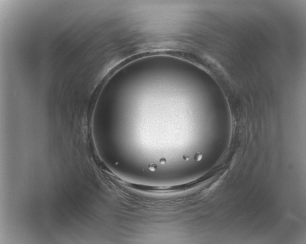 X0000067521457200604150147