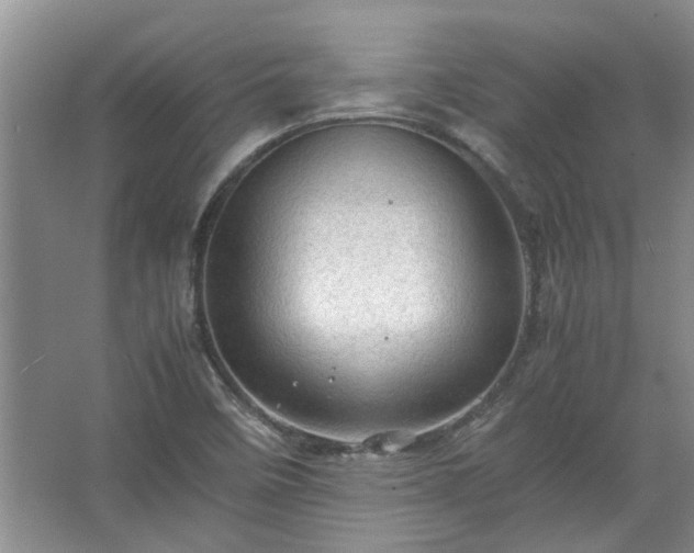 X0000067521458200604150147