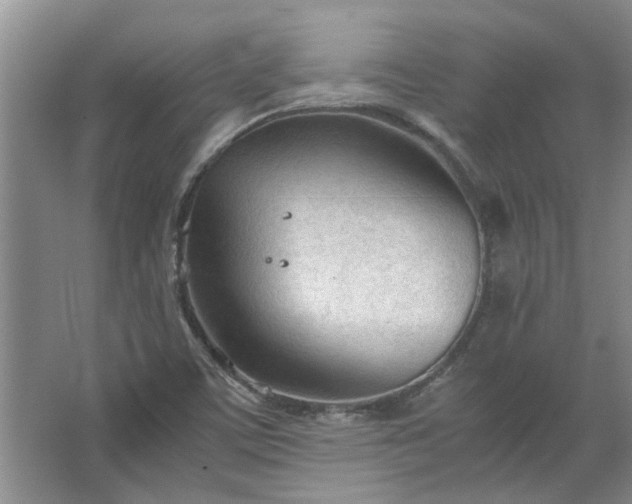 X0000067521459200604150147