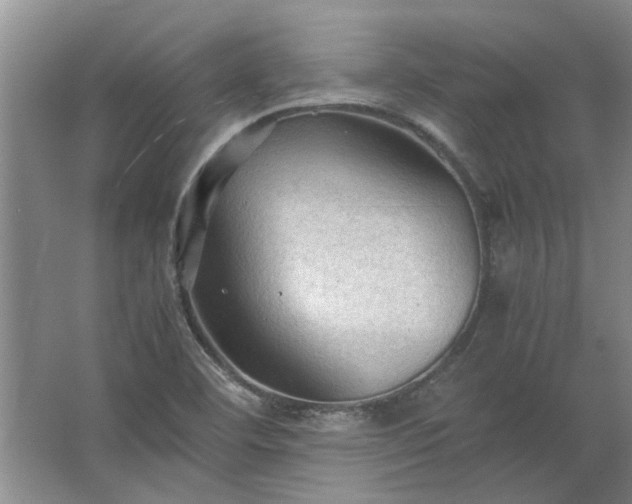 X0000067521460200604150147