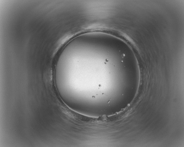 X0000067521461200604150147