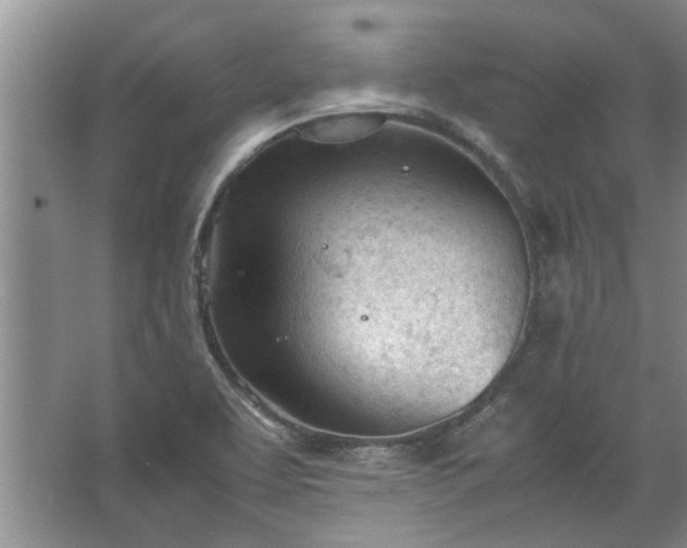 X0000067521463200604150147