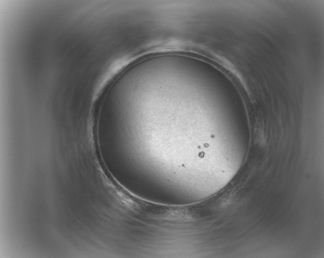 X0000067521464200604150147