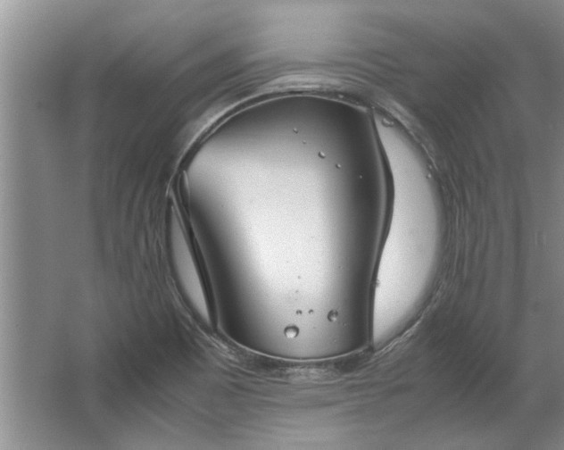 X0000067521465200604150147