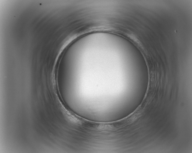 X0000067521466200604150147