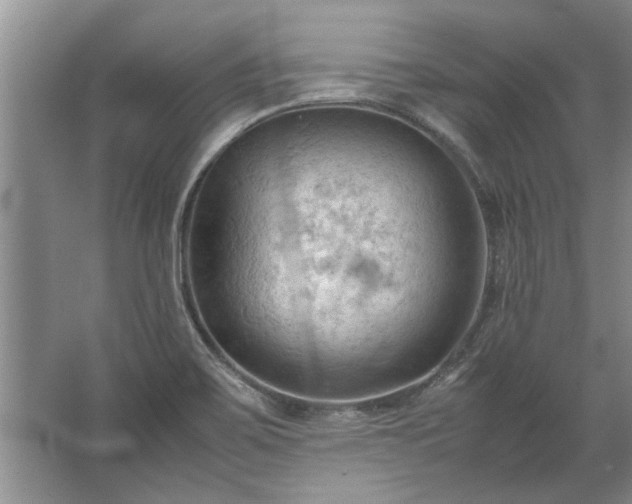 X0000067521467200604150147