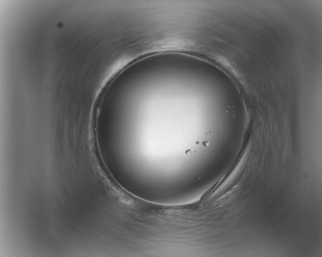 X0000067521469200604150147