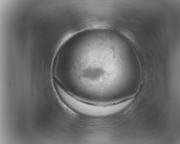 X0000067521471200604150147