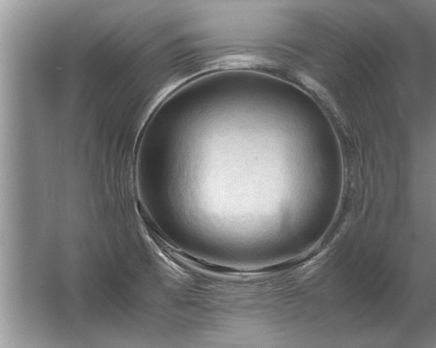 X0000067521473200604150147