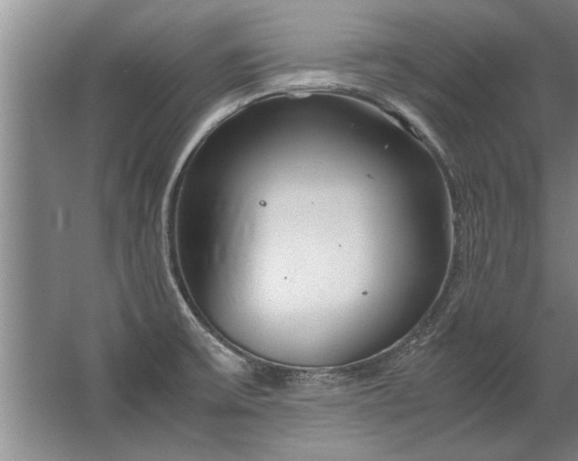 X0000067521475200604150147