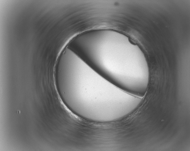 X0000067521476200604150147