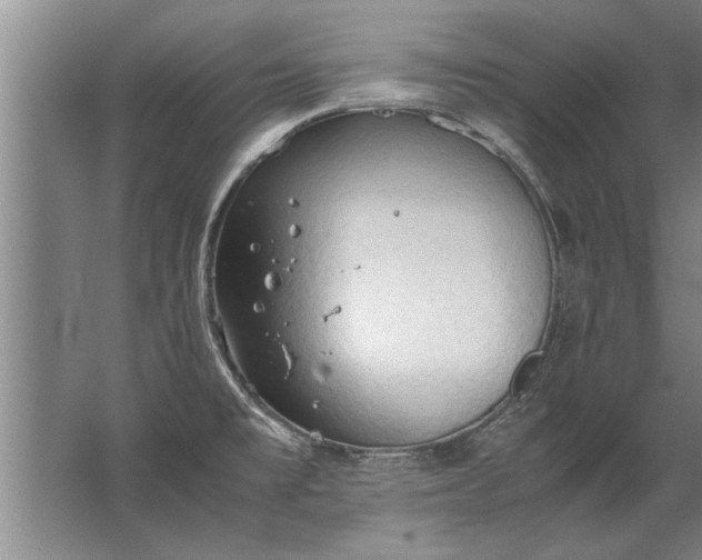 X0000067521477200604150147